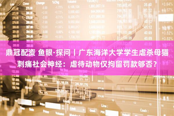 鼎冠配资 鱼眼·探问丨广东海洋大学学生虐杀母猫刺痛社会神经：虐待动物仅拘留罚款够否？
