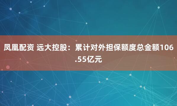凤凰配资 远大控股：累计对外担保额度总金额106.55亿元