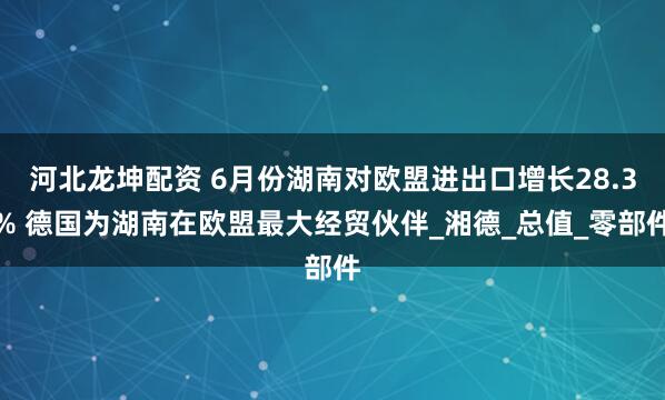 河北龙坤配资 6月份湖南对欧盟进出口增长28.3% 德国为湖南在欧盟最大经贸伙伴_湘德_总值_零部件