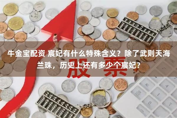 牛金宝配资 宸妃有什么特殊含义？除了武则天海兰珠，历史上还有多少个宸妃？